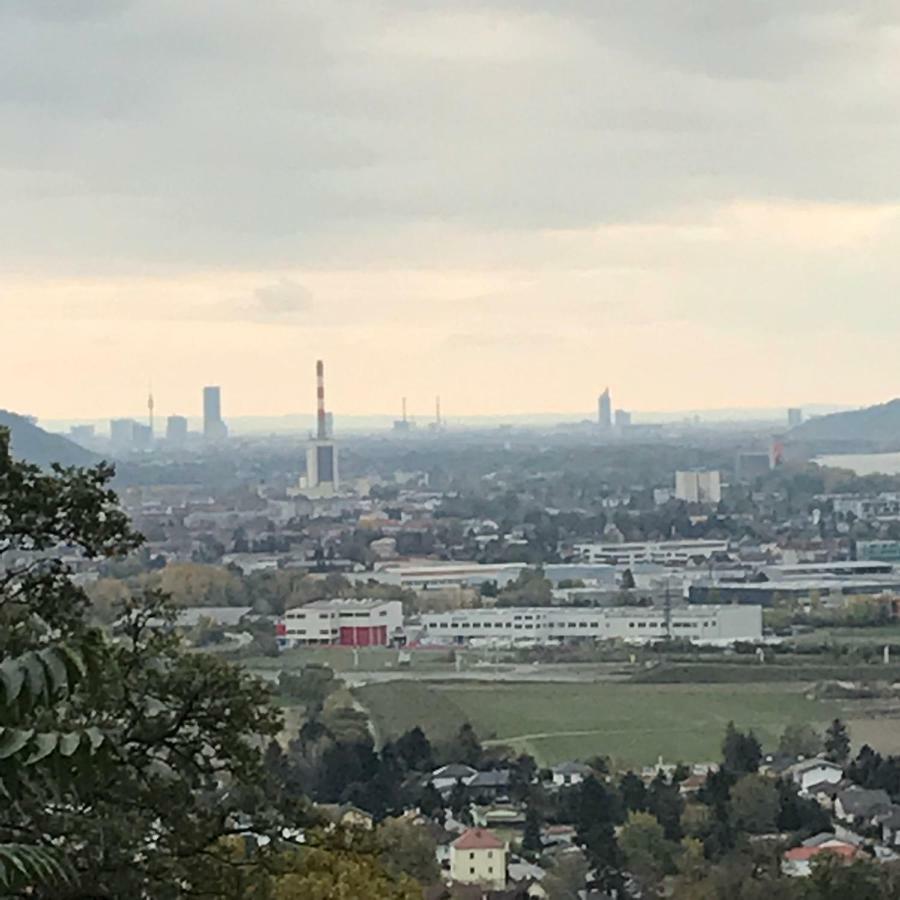 Lg Cosy Apartment Korneuburg Dış mekan fotoğraf